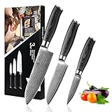 Wakoli Damastmesser Set, 3-teiliges Küchenmesser Set, 67 Lagen Damaststahl, VG10 Stahlkern, Micarta Griff, Klingenlängen 8, 12 und 17 cm, für Fleisch, Fisch und Gemüse