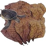Betta-Blätter, Foto Mandelblätter für Fische, Catappa, indische Mandelblätter, pH-Balance, Wasseraufbereiter für Aquarium, , Wels, Zubehör von H