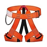 ENJOHOS Klettergurt, Absturzsicherung Sicherheitsgurt Taille, für Bergsteigen Sportklettern Baumklettern Feuerwehr Outdoor(Orange)