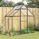 Refined Gewächshaus mit Fundamentrahmen Pflanzenhaus mit Dachrinnensystem Flügeltür Treibhaus für Pflanzen Frühbeet Anthrazit 169x114x195 cm Alu