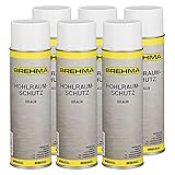 BREHMA 6X Hohlraumschutz Hohlraumversiegelung Spray 500ml Wachs