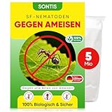 SONTIS® Aktive SF-Nematoden gegen Ameisen – 5 Mio. für 10m² - Effektive Ameisenbekämpfung mit Nestwirkung – Umweltfreundlich, chemiefrei, einfache Anwendung