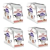 Royal Canin Sterilised in Soße | 4er Pack | 4 x 12 x 85 g | Alleinfuttermittel für ausgewachsene Katzen | Speziell für kastrierte Katzen ab dem 12. Monat | Stückchen in Soße