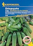 Kiepenkerl Profi-Line Einlegegurkensamen Twigy, F1 2496 - Mittelfrühe Einlegegurke mit gelblicher Spitze und fast glatter Haut - Samen Gemüse - Gemüsesamen