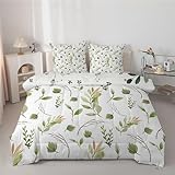 dyausi Bettdecke 200x200cm Tropische Botanisch Ganzjahresdecke - Regenwald Stil Monstera-Blatt Bettdecke Ohne Bezug - 4 Jahreszeiten Bettdecken 200x200 - Wende-Design Steppdecke Schlafdecke, H-447