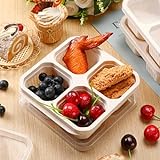 Ziliny 12 Stück Bento-Lunchbox, 16,5 x 15,5 x 5,5 cm, 4 Fächer, Snackbehälter mit Deckel, Mahlzeitenvorbereitung, unterteilte Bento-Boxen, wiederverwendbare Lebensmittelaufbewahrungsbehälter für