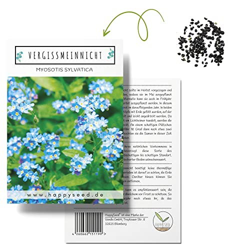 Vergissmeinnicht Samen (Myosotis) - Märchenhafte Blumen mit langer Blütezeit für das Beet, den Balkon und die Terrasse