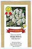 Wilde Möhre – alle Teile essbar – Insektenmagnet – heimisch - 500 Samen