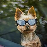 Enjoying Hundebrille für Kleine Hunde Sonnenbrille UV-Schutz Schneesicher Winddicht Gläser mit flexiblen Riemen für Welpen Katzen, Schwarz