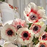 200 Pcs Anemone Pflanze Samen - Gartenblumen, Zimmerpflanzen Samen Anemone Samen, Blumendeko, Pflanzen Für Sonnige Plätze Blumensamen Mehrjährig Winterhart, Balkonpflanzen Winterhart