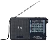 auvisio Weltradio: Analoger 20-Band-Weltempfänger mit FM, MW und 18x KW (Weltempfänger Radio, analog Radio, Batteriebetriebenes)