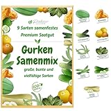 Prademir Gurken Samen 9 x Gurkensamen samenfeste Sorten Saatgut Hohe Keimrate