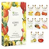 Kürbis Samen Set: 8 Sorten Premium Kürbis Saatgut für die Anzucht von Kürbis Pflanzen im Garten, Hochbeet und Gewächshaus – Muskatkürbis Samen, Halloween Kürbis Samen, Beste Gemüse Samen von OwnGrown