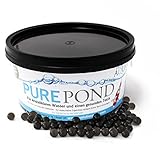 Evolution Aqua Pure Pond 2000 ml für Teiche bis 40000 l, Gelbälle Filterbakterien Biostarter für Teich und Teichfilter, Teichpflege