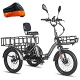 Fafrees F20 Mate E-Bike Dreirad für Erwachsene 20 Zoll 48V 23,45Ah Akku [ Offiziell ] Elektrofahrrad 65 N.m, Elektro Lastenfahrrad 180kg, Ebike Dreirad für Damen und Herren, Klapprad -Update