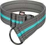 TRIXIE Fusion - Erziehungshalsband, extra breit, L-XL, 48–58 cm/50 mm, Graphit/Ozeanblau