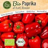 Little Plants BIO Paprika Samen 10 Paprikasamen di Asti Gemüsesamen Samenfest für Gemüsegarten Gemüse Samen Hochbeet Samen für Küche, Balkon und Garten