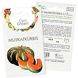 Muskat Kürbis Samen: Premium Muskatkürbis Samen für 6 wüchsige Gemüse Pflanzen – Saatgut Kürbis – Gemüse Samen Kürbis – Gemüsesamen – OwnGrown Seeds