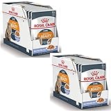Royal Canin Intense Beauty Jelly | Doppelpack | 2 x 12 x 85 g | Alleinfuttermittel für Erwachsene Katzen | Stückchen in Gelee | Zur Unterstützung von Haut und Fell | Mit Omega-3