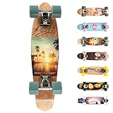 meteor Holz Skateboard Kinder - Mini Cruiser Kickboard - Skateboard mädchen Rollen Board - hohe Qualität Old School Skateboards Holz Deck - Retro Skateboard Jungen