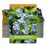 FLORTUS Vergissmeinnicht für Gastgeschenke (100 Tütchen) | Blumensamen perfekt als Dankeschön Geschenke, Werbegeschenke & Gastgeschenke Hochzeit