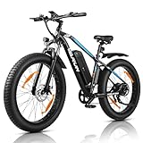 VARUN E Bike, 26 Zoll E-Bike Fatbike mit 4.0 Zoll Reifen, 250W Motor (55Nm) 48V16Ah/13Ah Akku, 5 Fahrstufen, 100-120 km Reichweite E-Mountainbike für Herren Damen mit LCD-Display
