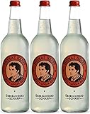 Thomas Henry Spicy Ginger Beer - überraschend scharf - (3 x 0,75 l Glas MW) 3er Set Ingwerlimonade zum Mixen deiner Longdrinks und Cocktails wie Moscow Mule mit Vodka & Co.