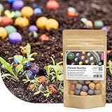 Flower Bombs: 50 x Samenbomben 'Originals', 100% Bio-Samen, Wildblumenbomben, bunt und fröhlich, mit Liebe handgefertigt - ein schönes Geschenk zum Verschenken!