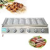 Tragbarer Tisch-Gasgrill, 6-Brenner-Propangas-Grill, Gasherd, Grill, Outdoor-Grill mit Fettfänger, Tischbrenner für Indoor/Outdoor, Rucksackreisen, Picknick, Grillen, Camping, Picknicks, Silber