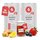 Hansegrün - 2x Bio Ingwer Berry Shots (60 Stk.) - Veganes Superfood-Pulver für Immungsystem¹ & Energiestoffwechsel² - mit Ingwer, Erdbeeren, Blaubeeren - 100% echte Zutaten zur täglichen Zubereitung