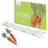 5m Saatband Karotten Samen (Nantaise 2 - Daucus carota) - Saftig, knackige Möhren ideal für die Anzucht im Garten, Balkonkasten & Gemüsebeet