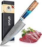 oFuun Damast Kochmesser Profi Messer 20cm, Japanisches Messer Scharfes Küchenmesser Messer Chefmesser Damaststahl 67 Schichten mit Ergonomischem Griff Fleisch