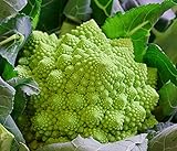 Blumenkohl Romanesco - Kohl - 200 Samen