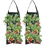 Feliciay 2er Pack Pflanzsack,Erdbeere Pflanzsack mit 8 Löchern,Dauerhaft Atmungsaktiv Beutel, Hängend Erdbeeren Pflanztaschen,Pflanzbeutel Mit Griffe Für Pflanzen/Kräuter/Blumen