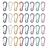 VFANDV Karabiner, Bunt Karabinerhaken Aluminium Schnapphaken Karabinerhaken Klein - 3.5 x 40.8mm, für Camping/Reisen Wandern/Angeln/Rucksack (16)