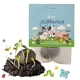 10x „Bauernhof“ Samenbomben – Mitgebsel Kindergeburtstag & Geschenk Kinder – Blumensamen Saatbomben mit Tieren – Saatkugeln Natur lernen – nachhaltige Kinder Mitbringsel & Give-aways