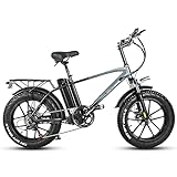 HFRYPShop Elektrofahrrad 20 Zoll E Bike mit 17Ah/48V Batterie, Pedelec E-Bike 4.0 Fetter Reifen, E Bike Herren 25KM/h mit 250W Motor, LCD-Display & 7-Speed E-Bike E-Fahrrad Herren Damen (Grau)