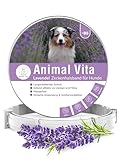 Animal Vita® Lavendel Zeckenhalsband für Hunde [Effektiver Schutz vor Ungeziefern] wasserdicht und verstellbar - bis zu 8 Monate Zeckenschutz mit 100% natürlichen Inhaltsstoffen, Lavendel