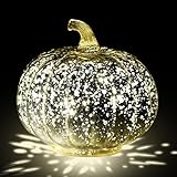 Renopfect Kürbis Lampe | Kürbis Schreibtischlampe Halloween Deko | Herbst & Halloween Deko Für Innen & Außen Garten Terrasse Dankbarkeitsfest