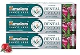 Himalaya Ayurvedic Dental Cream Herbal Toothpaste - Neem & Pomegranate Gum Protection | Helps Fight Plague, Cavity and Prevents Tooth Decay | With Natural Fluoride - 100g (Pack of 3)