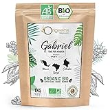 ORIGEENS BIO Kaffeebohnen 1kg | Biologische Arabica Kaffee Ganze Bohnen | Säurearm | Traditionelle Röstung | Gabriel