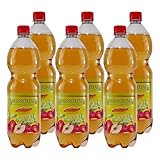 Regensteiner Apfelschorle (12 x 1,0L)
