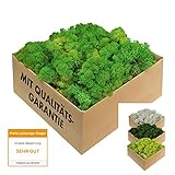 Islandmoos - echtes konserviertes Moos in 200g/500g/1kg/4kg für Moosbilder, als Deko oder zum Basteln (laubgrün, 200g)