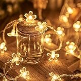 KOBOKO Lichterkette Blumen, 3M 20 LED Blumen Lichterkette, Kirschblüten Lichterketten Batteriebetrieben, Warme Farbe Dekorative Lichter für Garten, Hochzeit, Innen, Außen, Terrasse, Bäume, Partysdeko