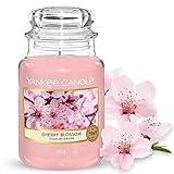 Yankee Candle Duftkerze im Glas (groß) | Cherry Blossom | Brenndauer bis zu 150 Stunden