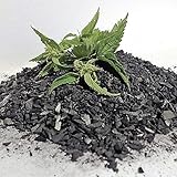 5 L Aktivierte Biokohle, Pflanzenkohle, mit Brennnesseljauche veredelt, Premium Qualität, nachhaltig und umweltschonend in Deutschland hergestellt