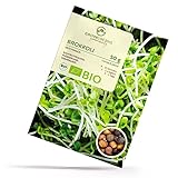 BIO Brokkoli Sprossen Samen 50g - Microgreens Saatgut ideal für die Anzucht von knackigen Keimsprossen im Keimglas