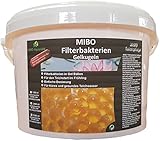 MIBO Filterbakterien Gelkugeln Filterstarter 2.500 ml ausreichend für 50.000,00 Liter