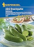 Kiepenkerl Profi-Line Snackgurkensamen Salamanda 2667 - Gemüsesamen für süß-herbe Snackgurken - Widerstandsfähige, ertragreiche F1-Hybride