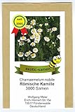 Römische Kamille - Bienenweide - Chamaemelum nobile - 3000 Samen